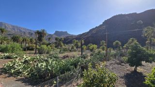 GC-Veneguera 2025-31.jpg